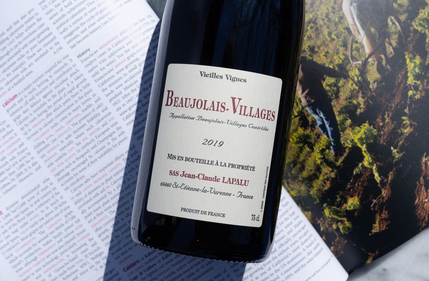Jean-Claude Lapalu Beaujolais-Villages Vieilles Vignes 2019 on Open Book