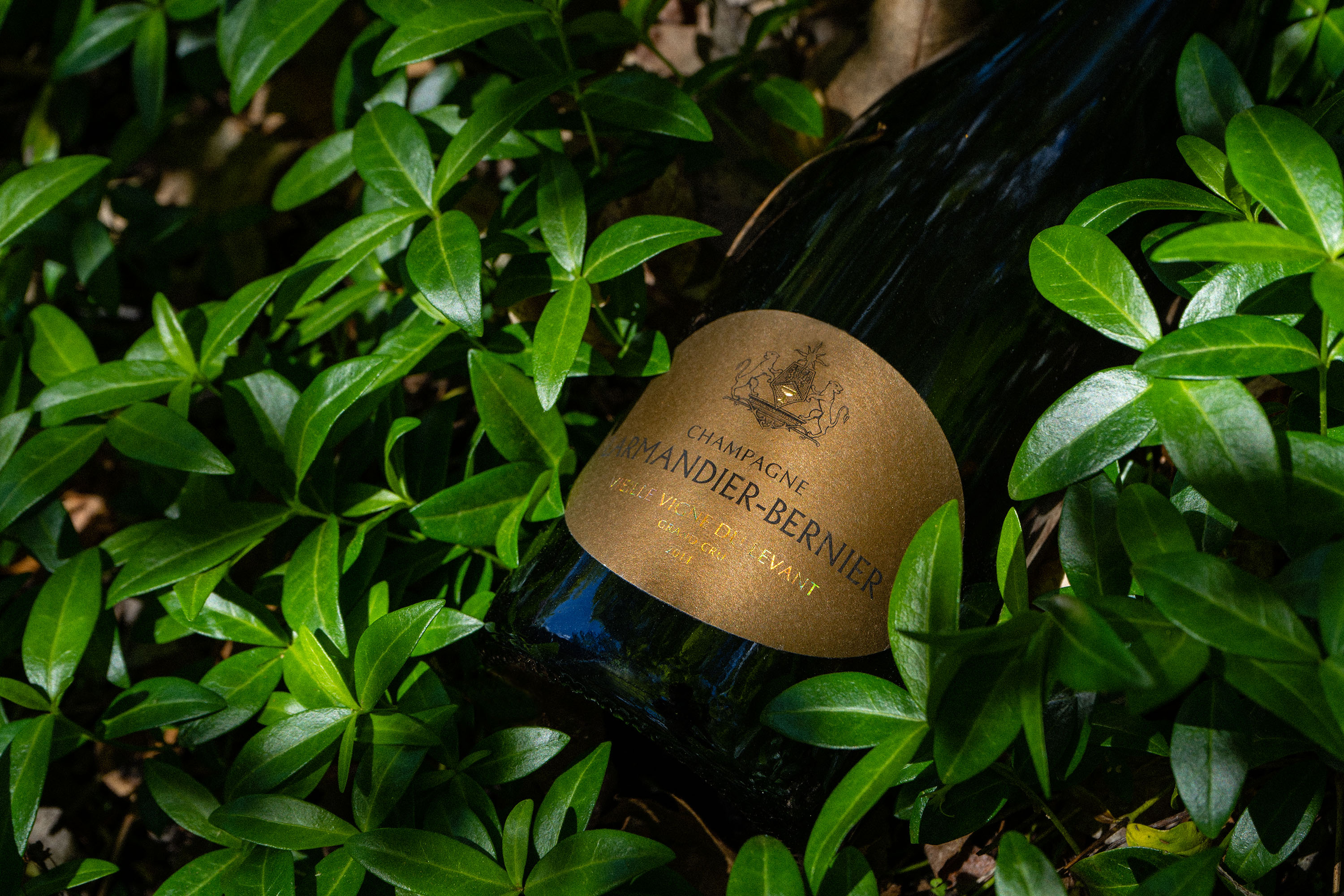 Larmandier-Bernier – Vieille Vigne du Levant 2011 | Bonvin